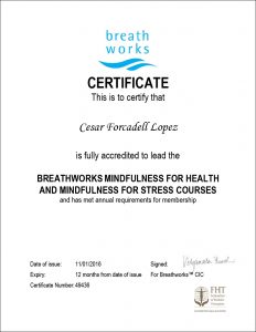 certificate-accredited-teacher_cesar-forcadell